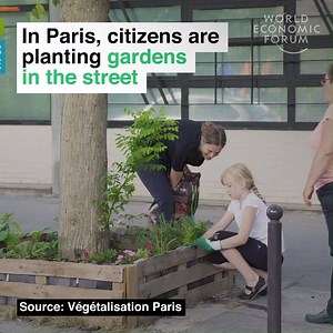 5.3M views · 37K reactions | The city is also planting 20,000 trees.  Learn more about environmental initiatives in Paris: https://wef.ch/2O5jF3m | World Economic Forum | Facebook