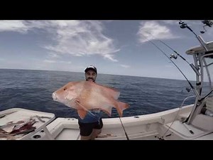 1770 Fitzroy Reef Fishing Trip | BATS FISHING