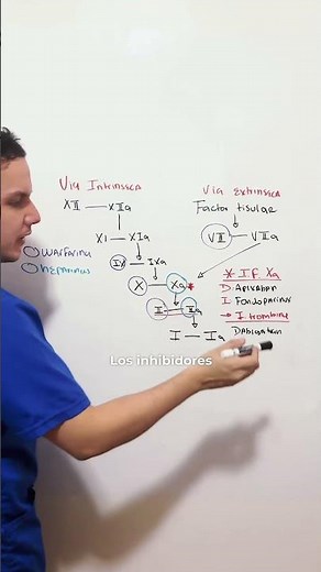 How Anticoagulants Work #medicine #drug #study