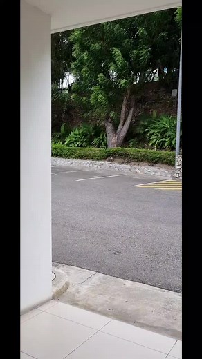 Stephanie Calvert on TikTok