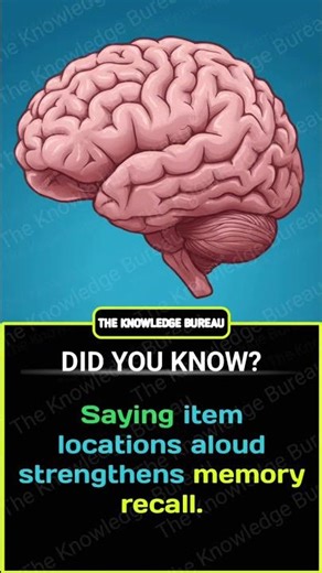 Repeating object locations strengthens spatial memory networks.