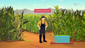 Equilibrium Rent: The Market for Land - Concept | Microeconomics | JoVe