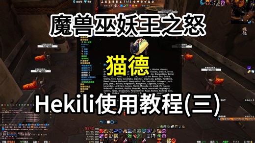WLK巫妖王之怒猫德hekili使用教程三