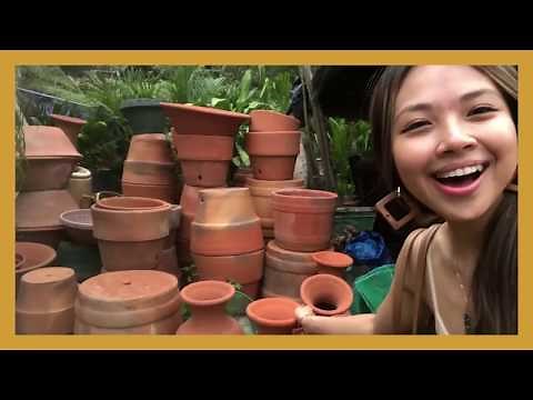 Krafty Kriz: Painting Terra Cotta Pots