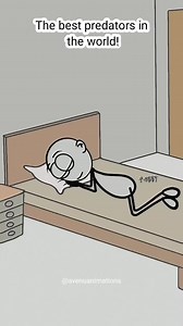 1.5M views · 10K reactions | Mosquitoes in the middle of the night  藍 ( Best animation meme) #danimation #animation #d #art #motiongraphics #illustration #digitalart #animationart #cartoon #motiondesign #animator #characterdesign #aftereffects #graphicdesign #animated #drawing #design #artist #animations #characteranimation #animationvideo #framebyframe #motion #traditionalanimation #anime #vfx #dart #danimator #artwork #conceptart | Avenue Animations | Facebook