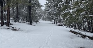 Flagstaff snow helping Arizona's water needs