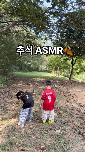 할머니 할아버지랑 추석 밤줍기🌰｜가을 ASMR