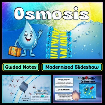 Osmosis PowerPoint Slideshow | Guided Notes | Study Guide | Quiz
