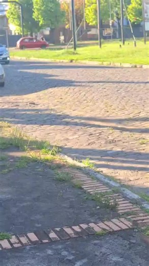 Os vídeos de Alex Hoffmann (@alex.hoffmann30) com som original - ⚡