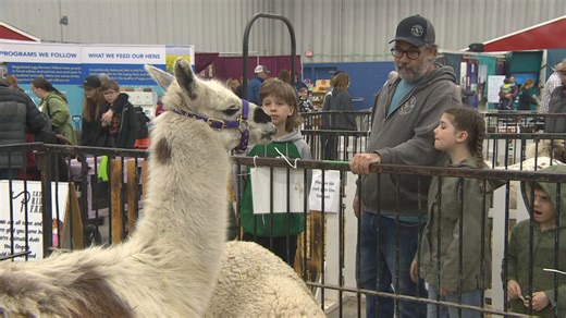 Brandon's upcoming winter fair raises concerns about measles spread