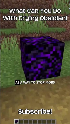 What Can You Do With Crying Obsidian In Minecraft?!