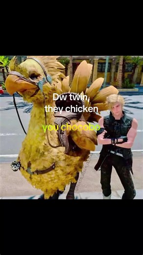 Understanding Chocobos in Final Fantasy Games