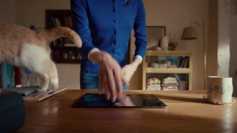 Samsung EVO Plus Full Size 256GB SDXC Card 130MB/s Full HD & 4K UHD, UHS-I, U3, V30 (MB-SC256K/AM)