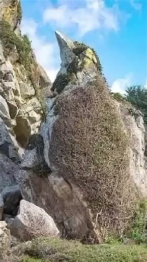 Nephilim animals. Like and Subscribe.