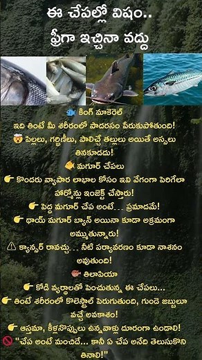 3 Dangerous Fishes You Must Avoid! | Shocking Truth About King Mackerel, Magur & Tilapia