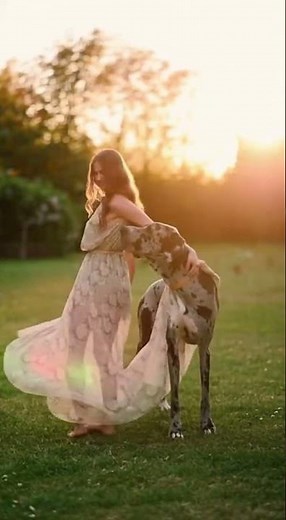 Dancing with My Giant Heart: A Great Dane Love Story #dog