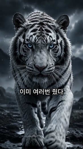 착한 사람이 돌아서면 제일 무서운 8가지 이유