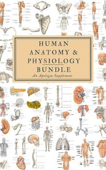 Human Anatomy & Physiology MEGA Bundle (a supplement for the Apologia course)