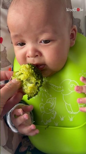 Baby Broccoli Reaction: Hilarious Weaning Moment Caught on Camera || WooGlobe