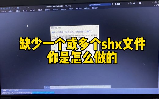 缺少一个或多个shx文件，你是怎样操作的