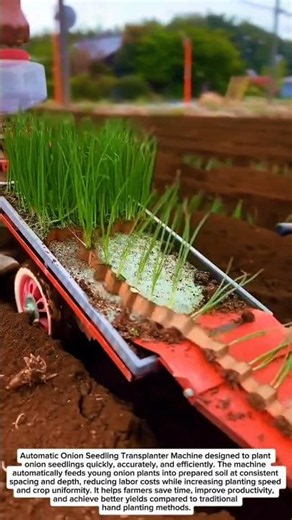 Amazing Automatic Onion Transplanter Machine | Fastest Farming Technology Ever!
