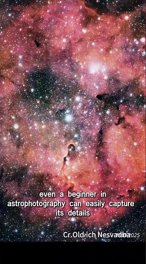 The Elephant Trunk Nebula caught by #DWARF3