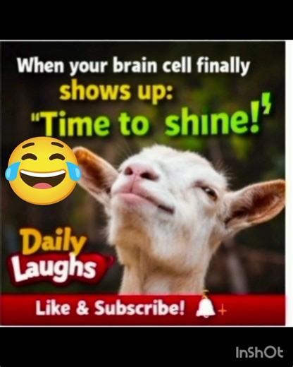 🐏Cute Animal Jokes That Will Make You Smile 🐐😂#shorts #funny #ytshorts #viral
