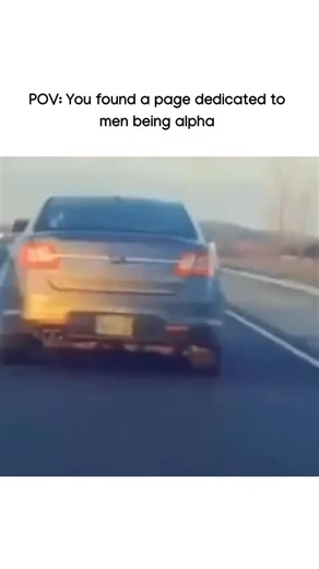 Men Being Alpha on Instagram