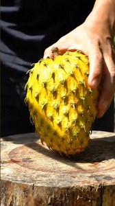 ASMR fresh yellow soursop cutting