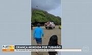 Turista de 8 anos é mordida por tubarão na Praia do Sueste, em Fernando de Noronha