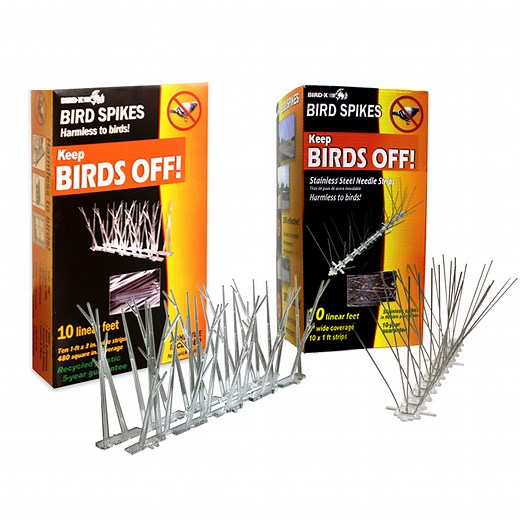 Bird Spike Kits | Plastic and Stainless Steel Options | Bird-X