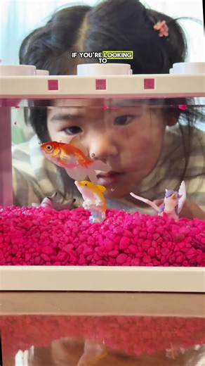 Come build a custom fish tank with my toddler! We go to American dream mall a lot and this new store just opened! It’s called wish a fish! First my daughter got to pick out a tank color, then the gravel color, then three little props and decor for the tank.. the final step was fishing out a gold fish she liked. Then she named it, got a certification of adoption and we took Goldie home! My daughter absolutely loved this activity and it’s perfect because the tank is so aesthetic and small so it do