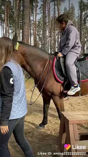 Likee App Official And Aminka