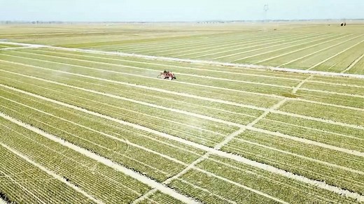 9.2K views · 117 reactions | Sowing smarter. As spring farming kicks off across China, agricultural technology and machinery are helping farmers to cultivate land more efficiently. #GLOBALink | China Xinhua News | Facebook