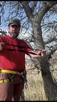 114 Quick Anchor on a Tree
