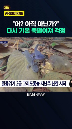 Amphibian spawning season accelerates by two months due to fluctuating winter weather / KNN