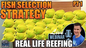 2.1K views | To Join our Webinar's on Sunday Nights Register -...