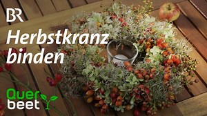 Herbstkranz binden 🍁 Der Herbst ist da und der Garten voller Früchte. Wie daraus im Handumdrehen ein herbstlicher Kranz entsteht, zeigt Sabrina im heutigen Video. Stellt eure Fragen dazu gerne in den Kommentaren. | Querbeet