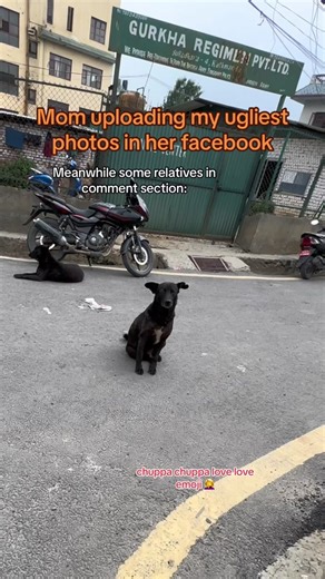 Mom's Funny Facebook Upload: Awkward Family Photos