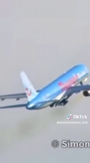 ThomsonFly Boeing 757 Birdstrike After Take-off