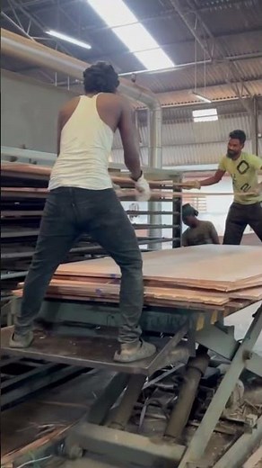 The making of India’s strongest plywood #plywood #interiordesign #diwali #ply #architecture