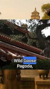 Explore Xi’an: A 2 Minute Journey Through China’s Ancient Wonders