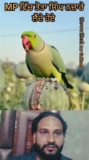 ਕੌਣ ਕੌਣ ਚਾਹੁੰਦਾ ਪੰਜਾਬ ਚ ਇਹ ਕੰਮ ਹੋਵੇ #love #funny #viralvideo #shortvideo #short #trending #video #tv