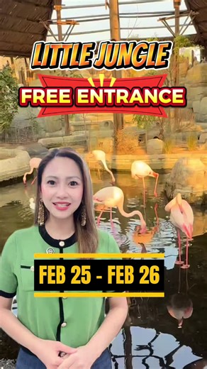Free Entrance to Little Jungle Kuwait for National Day