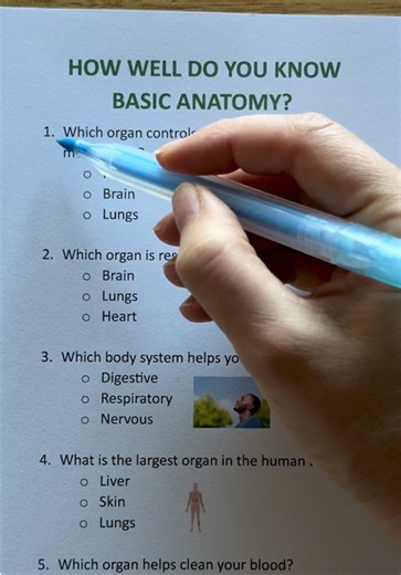 Basic Anatomy Quiz: Test Your Knowledge Now