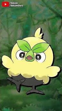 Browt is not convincing me to go Grass starter this time | #pokemon