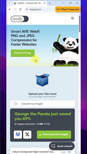 Compress images super fast, keeping the quality with TinyPNG.com