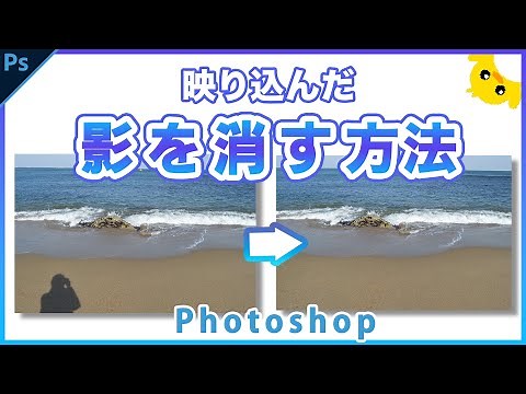 Photoshopで写り込んだ影や反射を消す方法【選択範囲を別画像に置き換える】パッチツール
