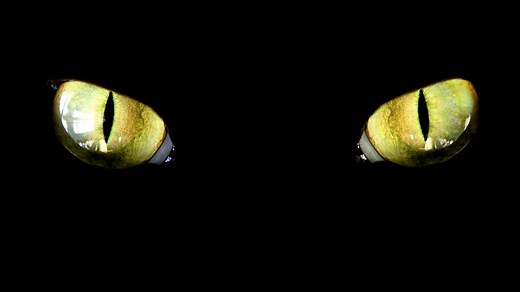 BBC Radio 4 - You're Dead to Me - Six spellbinding facts about the European Witch Craze