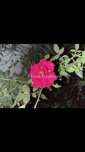 Why I Dislike Promises and Their Consequences